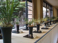 20101112-touyouran.tenjikai.kankou.itouya.jpg