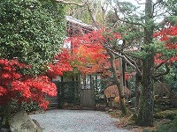 20101222-kouyou.20101222.yugawara.kutikomi.itouya.jpg