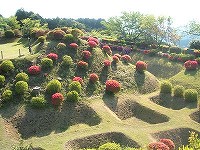 20130430-yamanakajousi.misima.20130429.yugawara.itouya.jpg