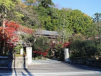 20141213-kouyou_zenkei_20151213_huro_itouya.jpg
