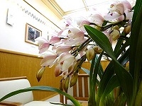 20151206-raunji_yukiichigo_20151206_onsen_itouya.jpg