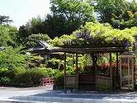 20160426-hujikibashi_basutei_20160425_yugawara_onsen_itouya.jpg