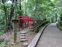 20160529-tanuki_jinja_manyoukouen_201605_yugawara_itouya.jpg