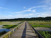 20160805-houraibashi_shizuoka_shimada_20160804_yugawara_itouya.jpg