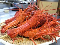 20160826-iseebi_boil_zaru_chouribu_yugawara_itouya.jpg