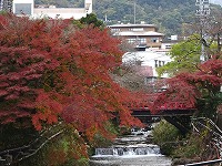 20161129-kouyou_hujikigawa_20161129_yugawara_itouya.jpg