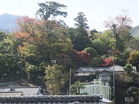 20171113-kouyou_yama_manyoukouen_20171113_itouya.jpg
