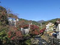 20171126-hujikigawa_aki_kouyou_20171126_itouya.jpg