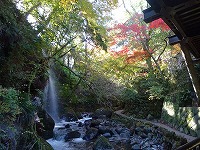 20171126-manyoukouen_aki_taki_20171126_itouya.jpg