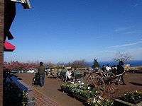 20180310-yoroiduka_ichiyajou_odawara_201803_itouya.jpg