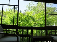 20180422-sinryoku_18ban_honma_20180422_itouya.jpg