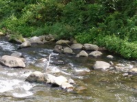 20180920-sagi_chitosegawa_201809_itouya.jpg