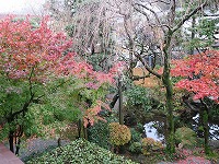 20181212-kouyou_niwa_19bankara_ike_20181213_itouya.jpg
